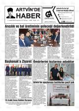 ARTVİN'DE HABER