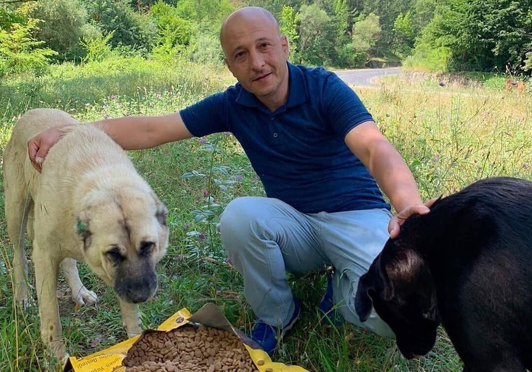 SAHİPSİZ PATİLER DERNEĞİ BURSA