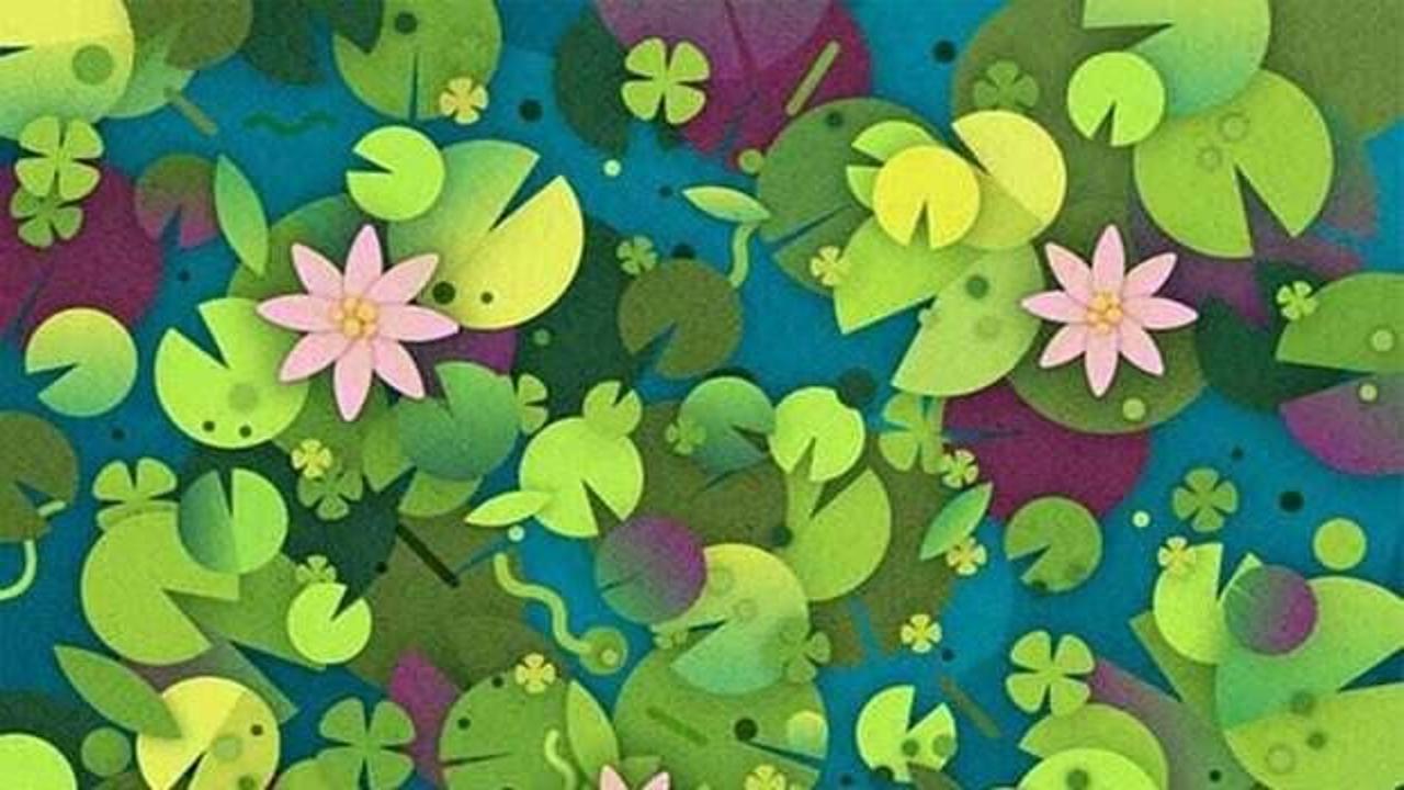 Akıllara durgunluk veren zekâ testi: Nilüfer yaprakları arasına gizlenmiş kaplumbağayı 5 saniye içinde bulun!