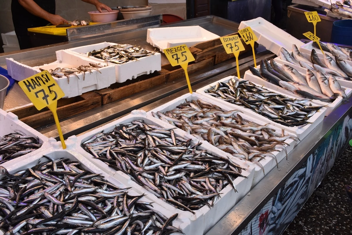 Trabzon’da Balıkçı Tezgahlarında Hamsi, Mezgit ve İstavrit Satışa Sunuluyor
