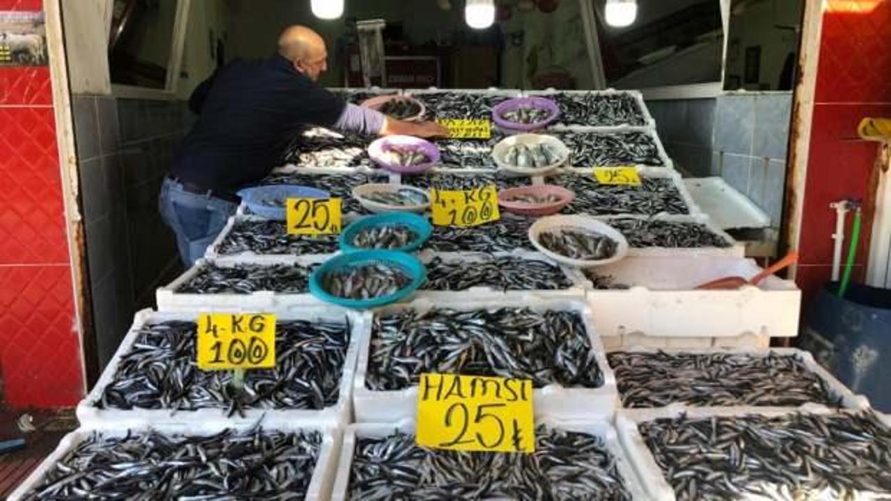 18 kiloluk hamsi kasasını 250 TL’den satışa çıkardı