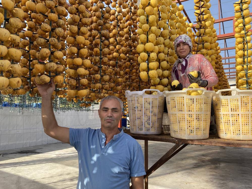 Manisa'dan dünyaya cennet hurması