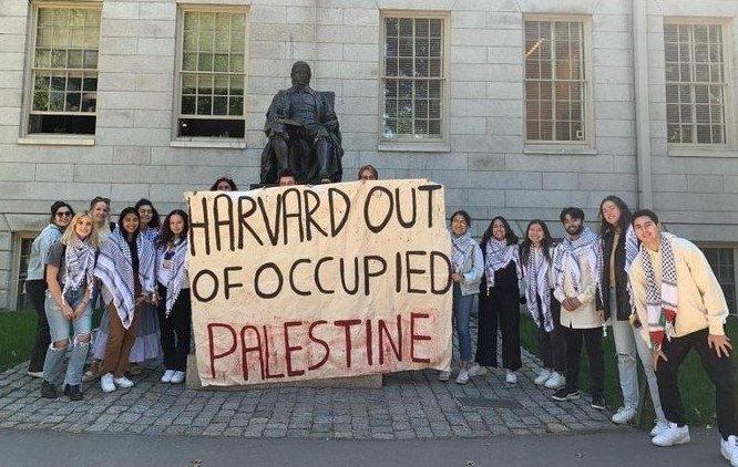 Filistin'e destek çıkan Harvard'lı öğrencileri fişlediler! 'Adınızı silmemiz için...'