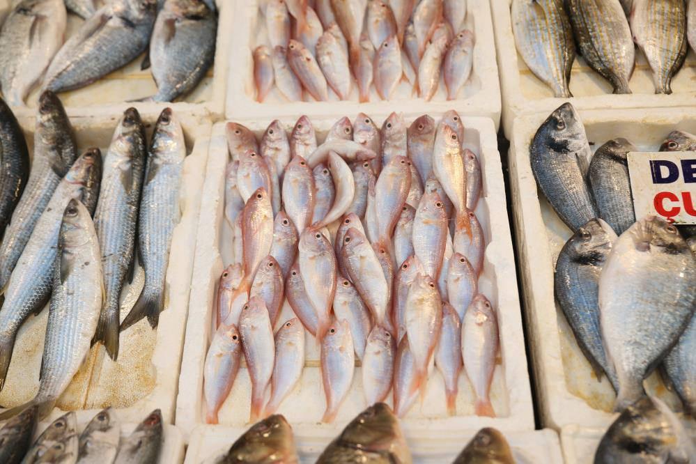 Tezgahlar balıkla doldu taştı, fiyatlar en alt seviyeye düştü