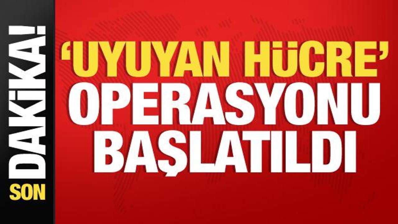 MİT ‘Uyuyan Hücre’ operasyonunu başlattı