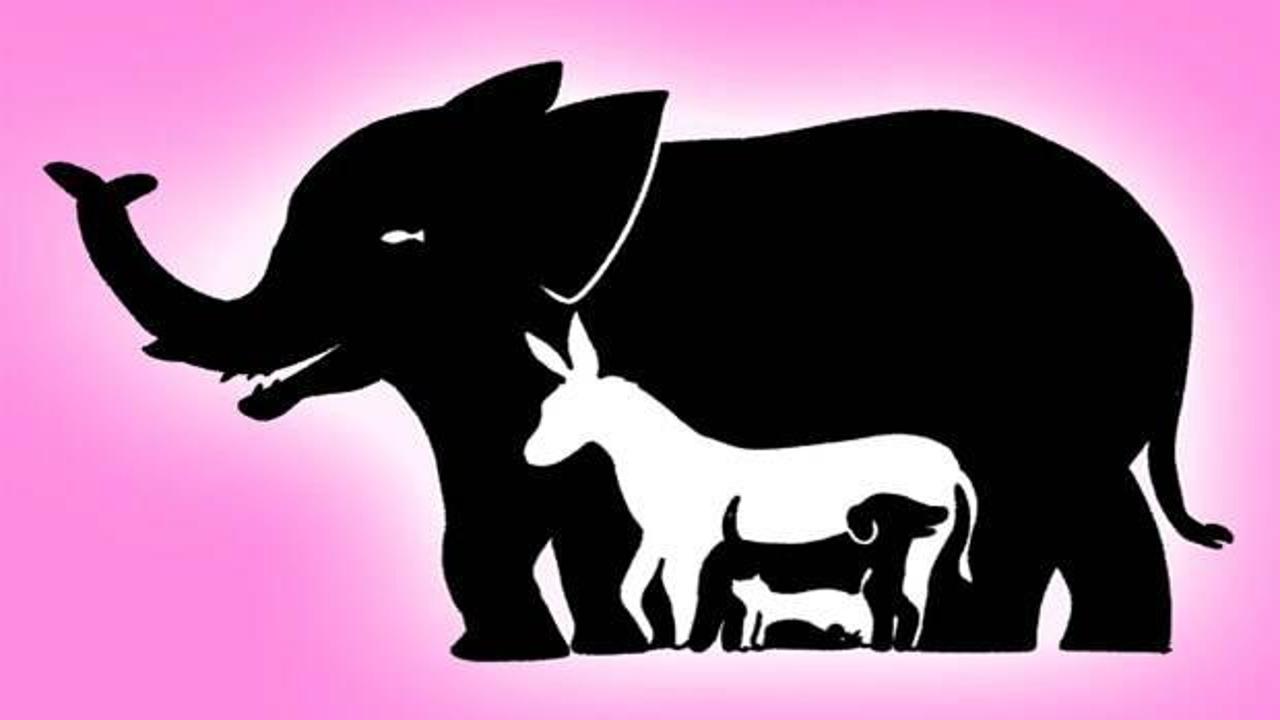 Resimde kaç tane hayvan görebiliyorsunuz? Resimdeki tüm hayvanları sadece dahi bir beyin 10 saniyede fark edebilir!