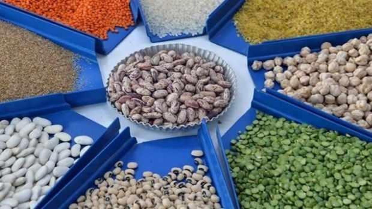 Türkiye’nin hububat ve bakliyat ihracatı 9,2 milyar doları buldu