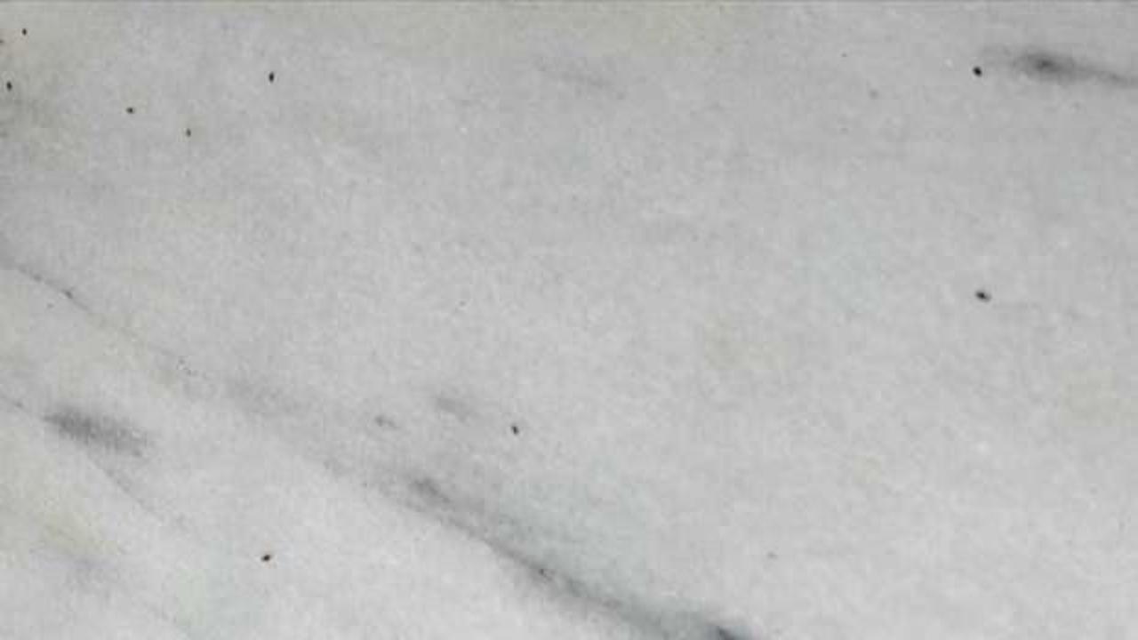 Yunanistan, tahtakurusu tehdidi altında