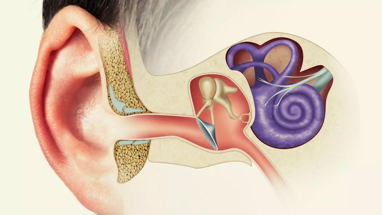 Tedavi edilmezse işitme kaybına kadar götürüyor! Kulakta sıvı birikmesine dikkat…
