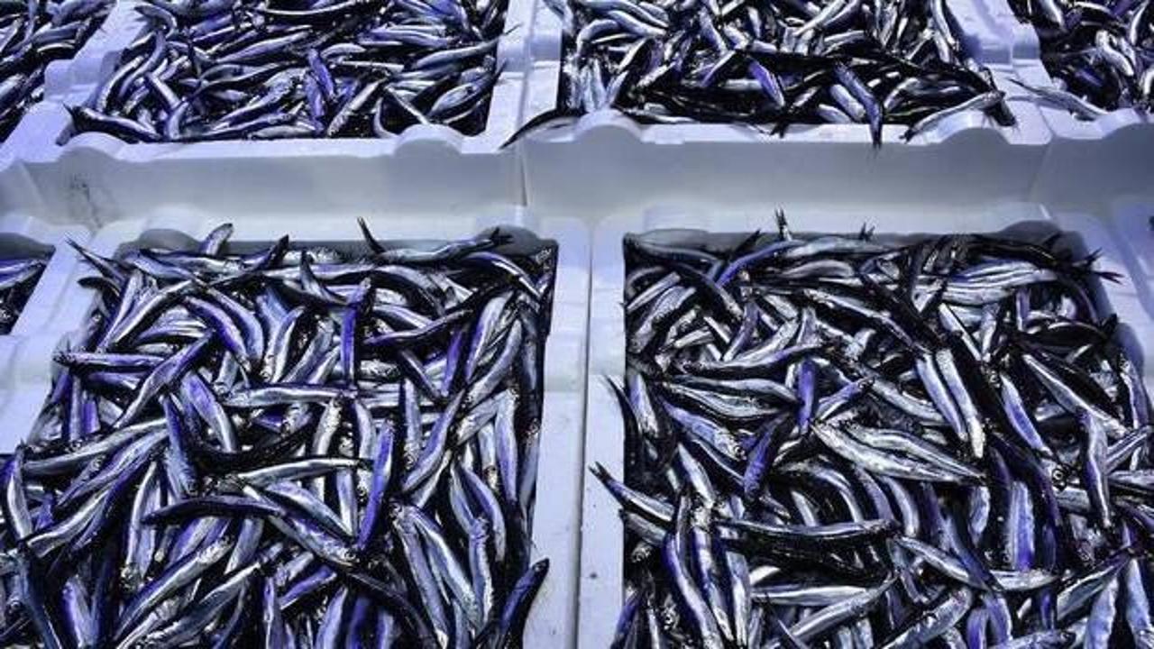 3 kilosu 100 liraya satılıyor