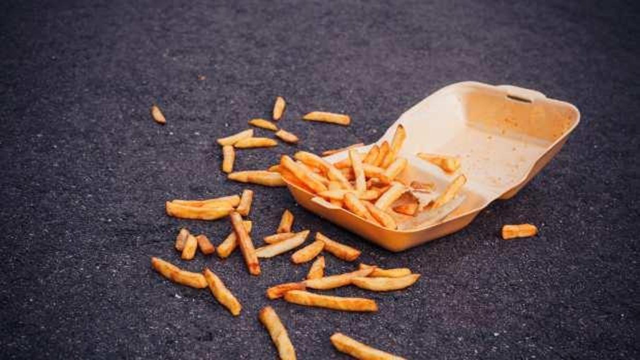 5 saniye kuralı gerçek mi? Yere düşen yiyecekleri 5 saniye içinde yemek doğru mu?