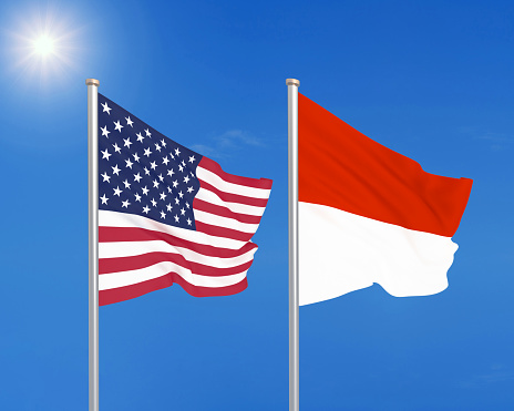 Endonezya Devlet Başkanı Widodo'dan ABD'ye Gazze çağrısı