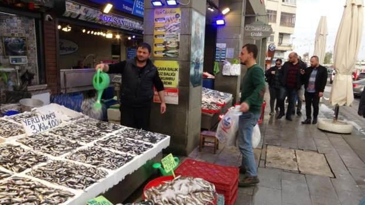 Hamsi sezonu sürüyor, palamut sezonu ise bitti