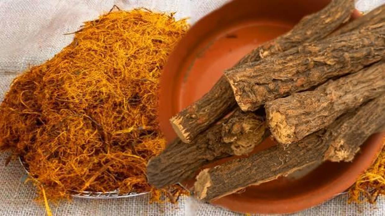 Meyan kökü faydaları nelerdir, nasıl kullanılır? Meyan kökü mucizesini kimler kullanamaz?