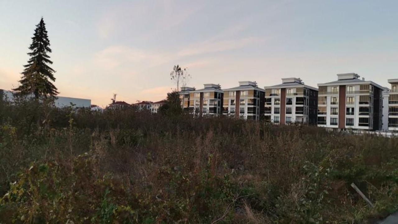 Ağaçları kesmeye başladılar! Arsa fiyatlarını dairelere ekliyorlar