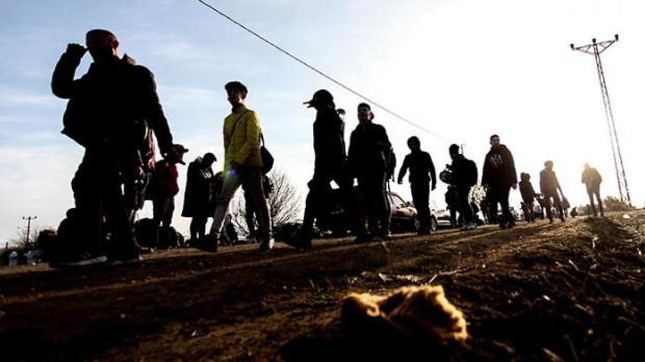 Sınırda göçmen kaçakçılığı operasyonu: 82 gözaltı!