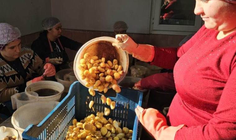 Nazilli’de yetişiyor: 10 bin kilometre ötedeki Japonlar müdavimi oldu