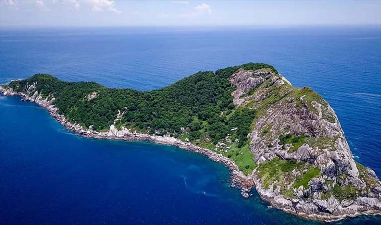 Metrekareye 5 yılan düşüyor! Dünyanın en tehlikeli adasına insan girişi yasak