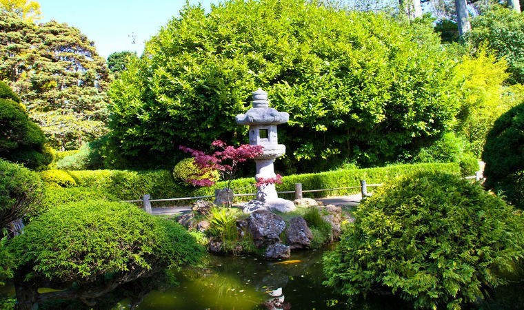 Bitkilerin komşularıyla iletişimi kaydedildi