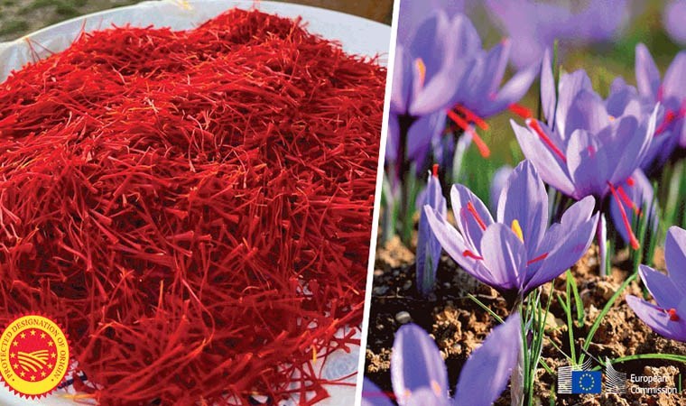 Karabük’ün ‘Safranbolu Safranı’ AB tarafından tanındı