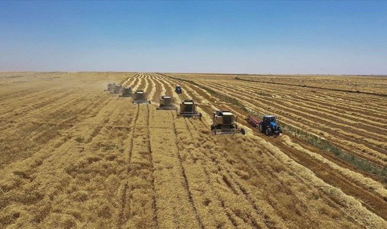 Tarımsal destek ödemesi yattı mı? Tarımsal destek ödemesi ne zaman yatacak? Tarımsal destek ödemesi nereden sorgulanır?