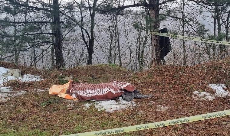 Feci olay… Kestiği ağacın altında kalan işçi hayatını kaybetti!