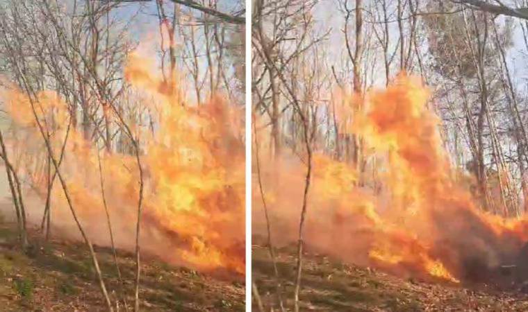 Sakarya’da ormanda yangını!