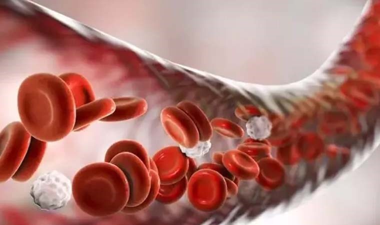 Canan Karatay’dan mucizevi öneri: Kandaki zehirleri dışarı atıyor