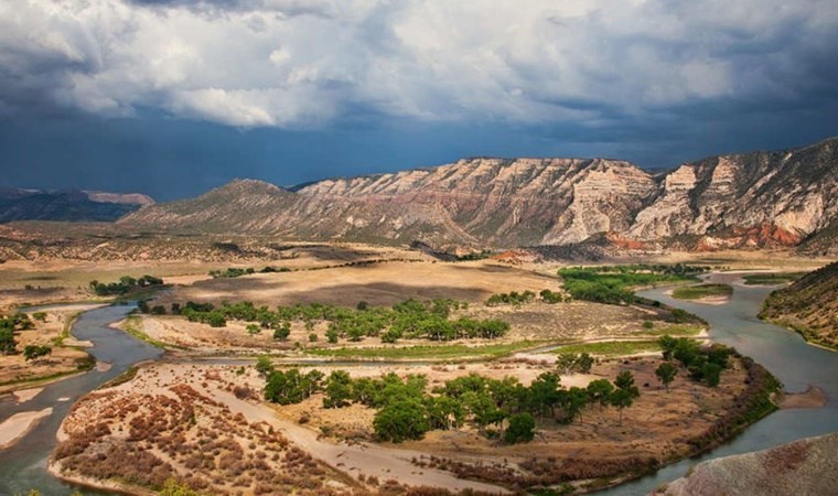 Dünyada yasal olarak dinozor avlayabileceğiniz tek yer… Her yıl 60 bin kişiye lisans veriliyor!