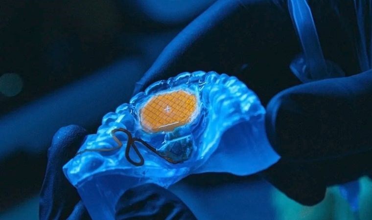 Gerçekten çok ilginç; dil ile kontrol edilebilen mouse tanıtıldı