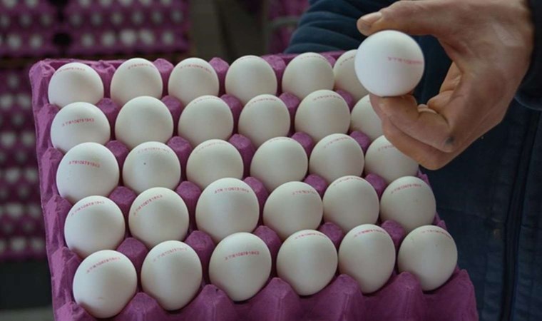 Rusya, Türkiye’den 1,5 milyon adet yumurta ithal etti