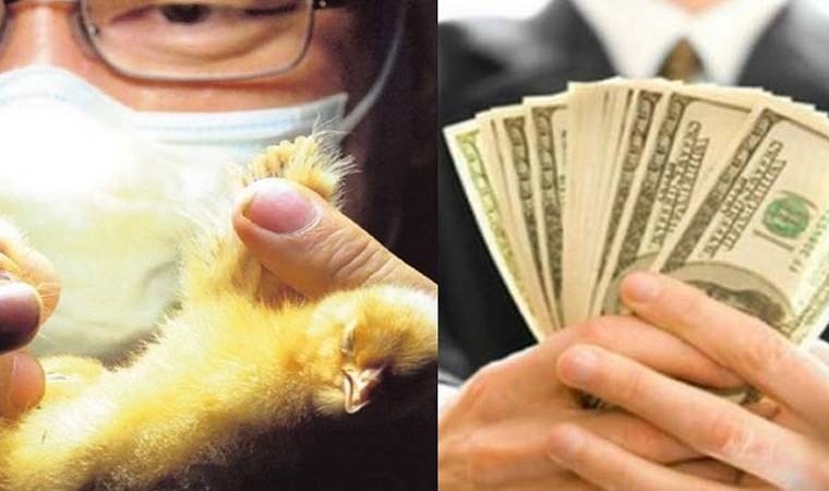 Bu meslekler ağzınızı açık bırakacak! Çok az kişinin yaptığı dünyanın en tufah 10 mesleği…