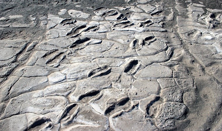 90 bin yıllık 'ayak izleri' keşfedildi! 'Birinin boyu 1,89...'