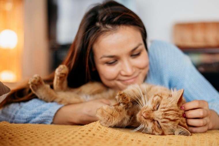 Kediniz mutlu olduğunu nasıl anlatır? İşte kedi dilini anlamanın sırları...