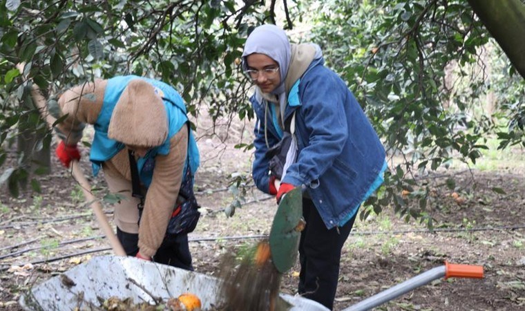 46 şehirden 200 kişi hasat için geldi!