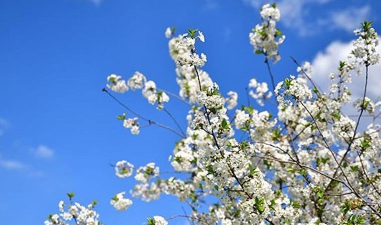 İkinci cemre düştü mü? Cemre suya ne zaman düşecek?