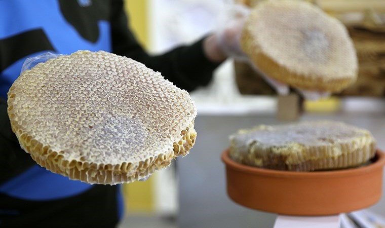 Bitlis balı, Paris’teki yarışmada Altın Bal ödülü aldı