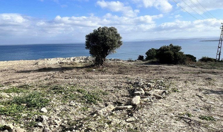 Ayayorgi tehlike altında