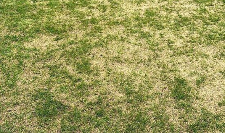 Tartışma konusu olmuştu: Ankaragücü’nden zemin açıklaması!