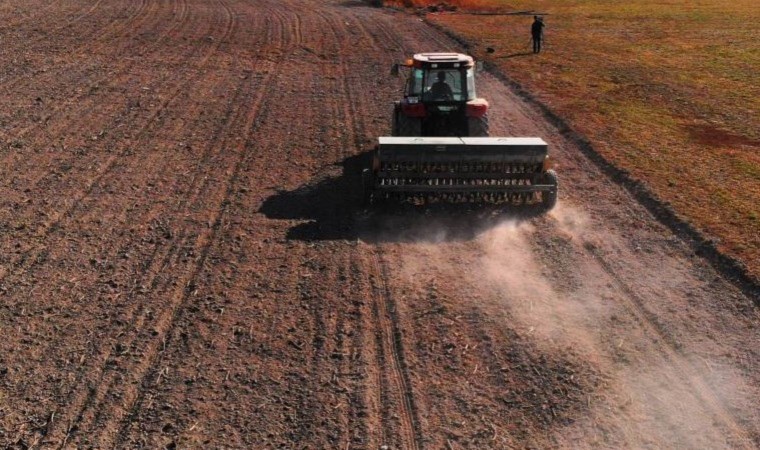 Türkiye’nin ‘tahıl ambarı’nda hasat erken başlayabilir: 53 yılın en sıcak ocak ayı