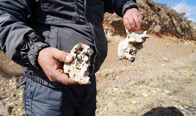 Niğde’de ‘dinozor fosili bulundu’ iddiası: 20 metrelik kemik bulundu