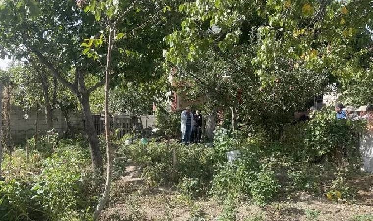 Çorum’da acı ölüm… Budadığı ağaç ölümüne neden oldu!