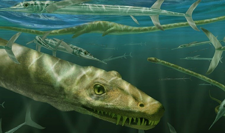 240 milyon yıllık ‘ejderhanın’ fosili keşfedildi