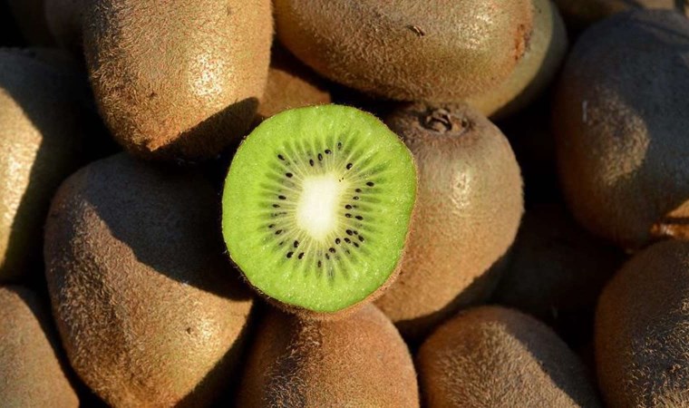 Araştırma: Kivi yemek ruh sağlığını iyileştiriyor