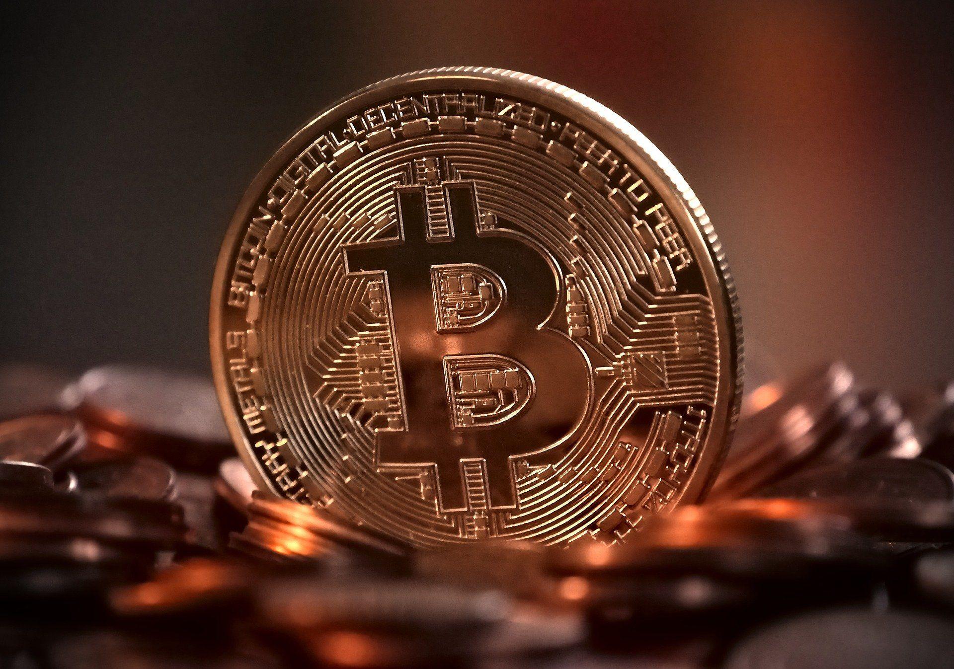 Kimin elinde en fazla bitcoin var?