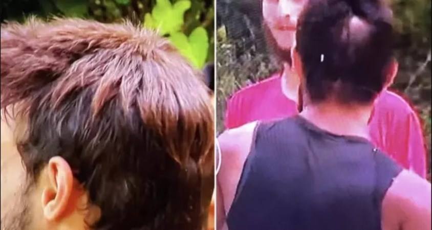 Survivor'un yıldızı  Batuhan Karacakaya ilgili yeni iddia: Saçı peruk mu? - Son Dakika Yaşam Haberleri | Cumhuriyet