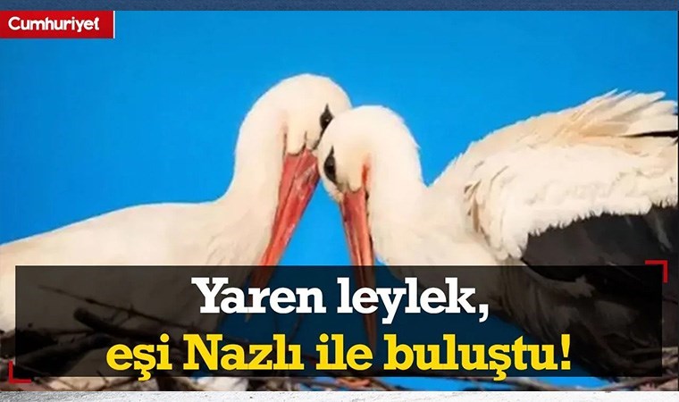 Vatandaşın alım gücü gün geçtikçe daha fazla düşüyor; Gramla ürün alıyorlar