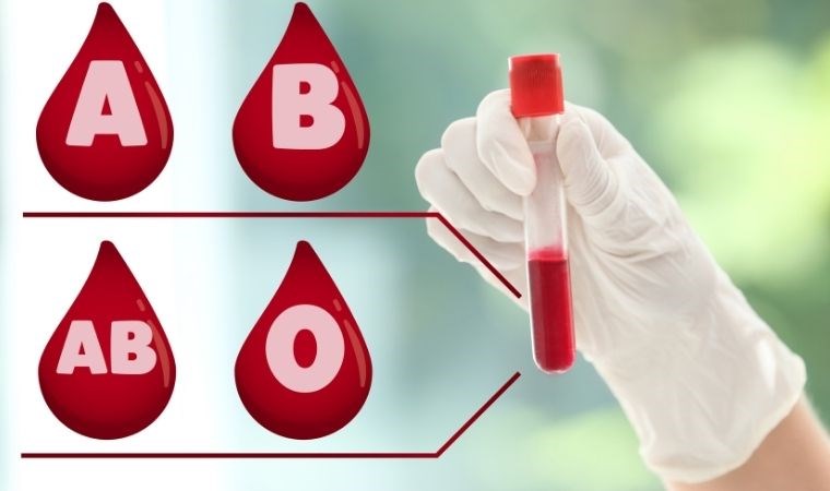 Bilim insanları açıkladı: Kan grubumuz kişiliğimizi nasıl etkiler?