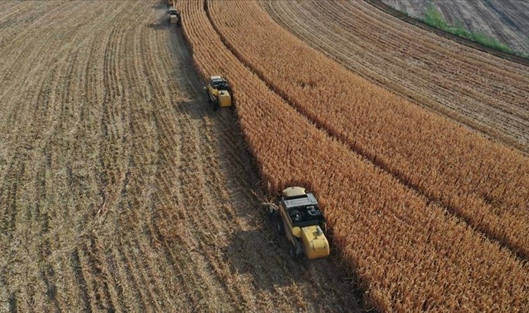 Yine tarım arazisi ve ormana göz diktiler