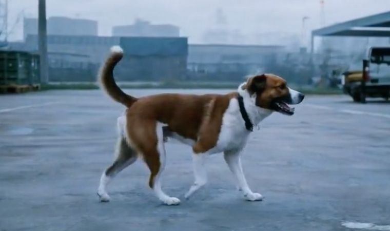 OpenAI’nin Sora’sı ile üretilen yeni videolar paylaşıldı